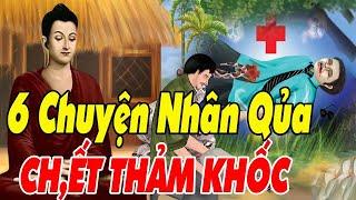 6 Chuyện nhân quả CÓ THẬT về quả báo sát sinh nhận kết quả thảm khốc_ Lời Vàng Phật Dạy