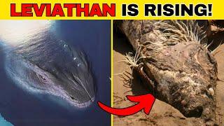 LEVIATHAN Caught On Camera | Leviathan Found