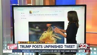 Trump Tweets Covfefe