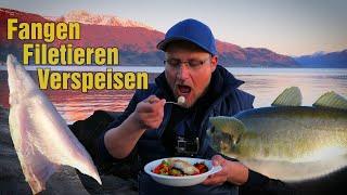 Erfolgreiches Uferangeln in Norwegen. Catch, Filet&Cook!