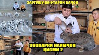 Заргушу Кафтарои Бачои. Зоопарки Наимчон Кисми 2