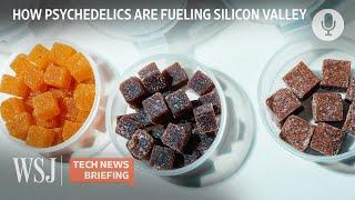 Why Elon Musk and Other Tech Leaders Take Psychedelics | WSJ Tech News Briefing