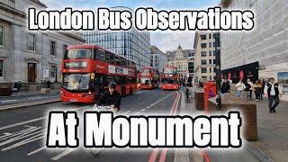 London Bus Observations at Monument