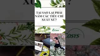 Qui tắc xuất xứ hàng hóa #shorts