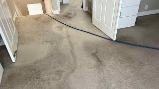 Carpet With Pet Stains and Tile Floor Cleaning in Costa Mesa!