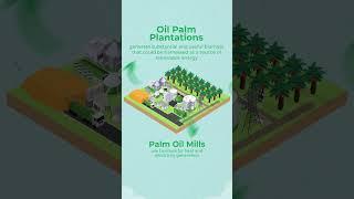 Malaysian Palm Oil- Biomass