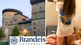 first week at Brandeis University // sophomore studies