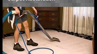 My Carpet Cleaning in Tarpon Springs, FL