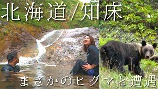 【衝撃】野生ヒグマと至近距離で遭遇！！世界自然遺産の秘湯へ。/北海道・知床