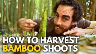 Turn Your Bamboo Nightmare into a Food Dream with This Simple Trick!