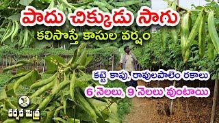 పాదు చిక్కుడు కాయ సాగు భళా || Success Story of Broad bean farming || Karshaka Mitra #agri