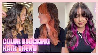 COLOR BLOCKING HAIR TREND: MONEY PIECES + POPS OF COLOR