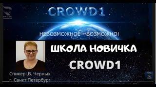 Школа новичка CROWD1:Вера Черных в 15.00 по мск 18.12.2020г