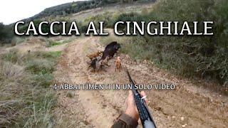 Caccia al cinghiale | caccia in Italia | caccia con il segugio maremmano | Andiamo A Caccia Con Ep 5