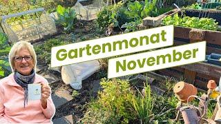 Deine Aufgabenliste für den Gartenmonat  November