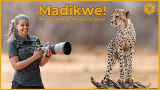 Madikwe Game Reserve - South Africa's Best Kept Photo Safari Secret!