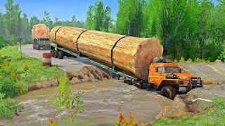 World's Largest Logging Trucks in Action: Incredible Heavy Equipment Machines at Work in the Forest