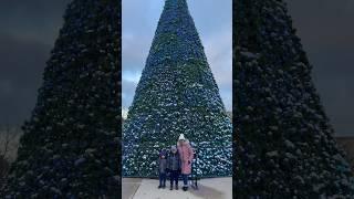 Friday minivlogHoliday magic 1000 Christmas trees #shortsfeed #shorts #christmaslights #youtube