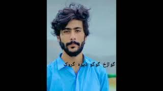 گواڑخ گوگو/ meer ahmed baloch/ poetry mureed baloch