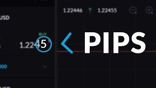 What is a Pip or Point | Trading Terms