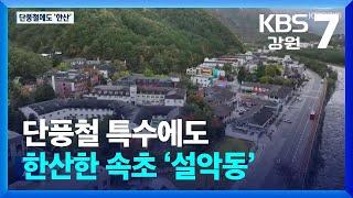 단풍철 특수에도 한산한 속초 ‘설악동’ / KBS  2024.11.05.