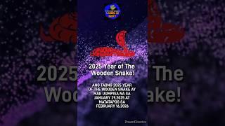 ⭐ANG MGA MATATAMAAN NG TAI SUI SA TAONG 2025 WOODEN SNAKE!