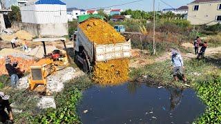 Started New project !!  Delete Pond by Komat'su D20P & Dump Truck Unloading