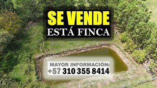 SE VENDEESTÁ FINCAINFO: (+57) 310 355 8414