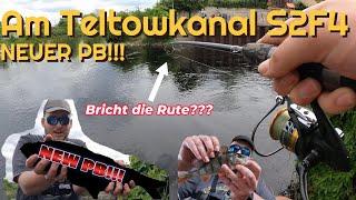 Am Teltowkanal S2F4 | NEUER PB (New Species)