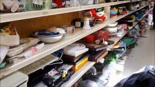 RV Stuff - Thrift Store Haul-- Great for RV'ers (Also Cat warning)