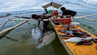 JACKPOT Jumbo Cuttlefish • Maganda ang salubong ng Pasko