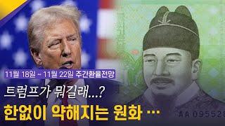 트럼프가 뭐길래…? 한없이 약해지는 원화… | 11월 3주차 환율전망 | 환율똑톡 |