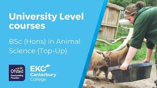 BSc (Hons) in Animal Science (Top-Up) | EKC Canterbury College