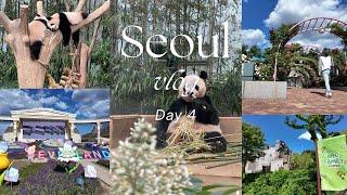 Seoul  Day 4 | Everland  | Panda Bao Family  | Safari Animal  | Rose Garden  | Korean BBQ 