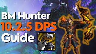 Beast Mastery / BM Hunter 10.2 - 10.2.5 Beginner Guide for Raid & M+