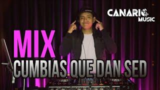 MIX CUMBIAS QUE DAN SED - CANARIOMUSIC (LA DUDA, FUE DIFÍCIL, EL CERVECERO, NIÑA TONTA, ETC