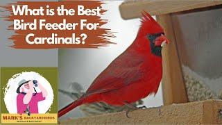 What is the Best Bird Feeder For Cardinals?