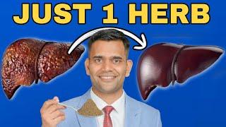 Just 1 HERB To Clean Your Liver In Just 7 Days | Fix Fatty Liver