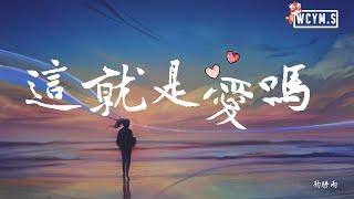 杨胖雨 - 这就是爱吗【動態歌詞/Lyrics Video】