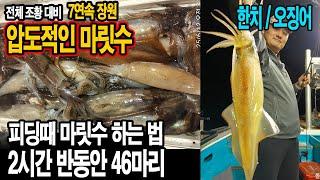 7연속 장원) 한치 오징어 낚시 압도적인 마릿수 피딩때 마릿수 하는법