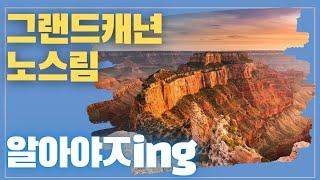 [미국오면] 그랜드캐년 국립공원 노스림 (Grand Canyon National Park North Rim) - 쉽게 허락하지 않는 원시림이 있는 곳!