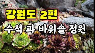 용설 ( 강원도2부 ) 수석 자연석 강돌로 만든 바위솔정원 강원도 인제군 서화면 을 소개합니다