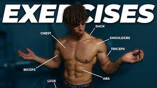 The ONLY Exercises You Need To Build An Aesthetic Body