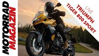 Bestes Straßenmotorrad? Tiger Sport 800 auf der EICMA. Was sagt der schnellste Street-Triple-Fahrer?