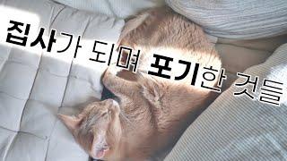 고양이 집사가 되며 포기한 것들 (고양이 입양 전 알아야 할 점)