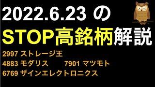 2022/6/23 ストップ高株解説！ストレージ王,モダリス,マツモト,ザインエレクトロニクスがSTOP高！