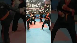 1 vs 4 Belt Test Fight in HMA #fight #bredanfou #martialarts #karate #mma #kicking #taekwondo #hma