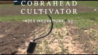 Cobrahead Cultivator