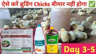 How To Manage Day- 3-5 Broiler Poultry Farming || मुर्ग़ी पालन का 3-5 दिन || Training Video- 3-5