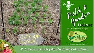 Field & Garden #310: Secrets to Growing More Cut Flowers in Less Space